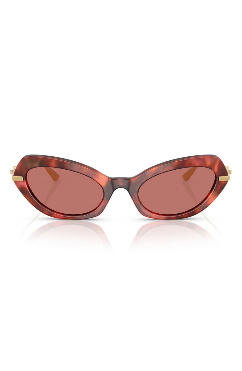 Dolce&Gabbana 52mm Butterfly Sunglasses, Main, color, 