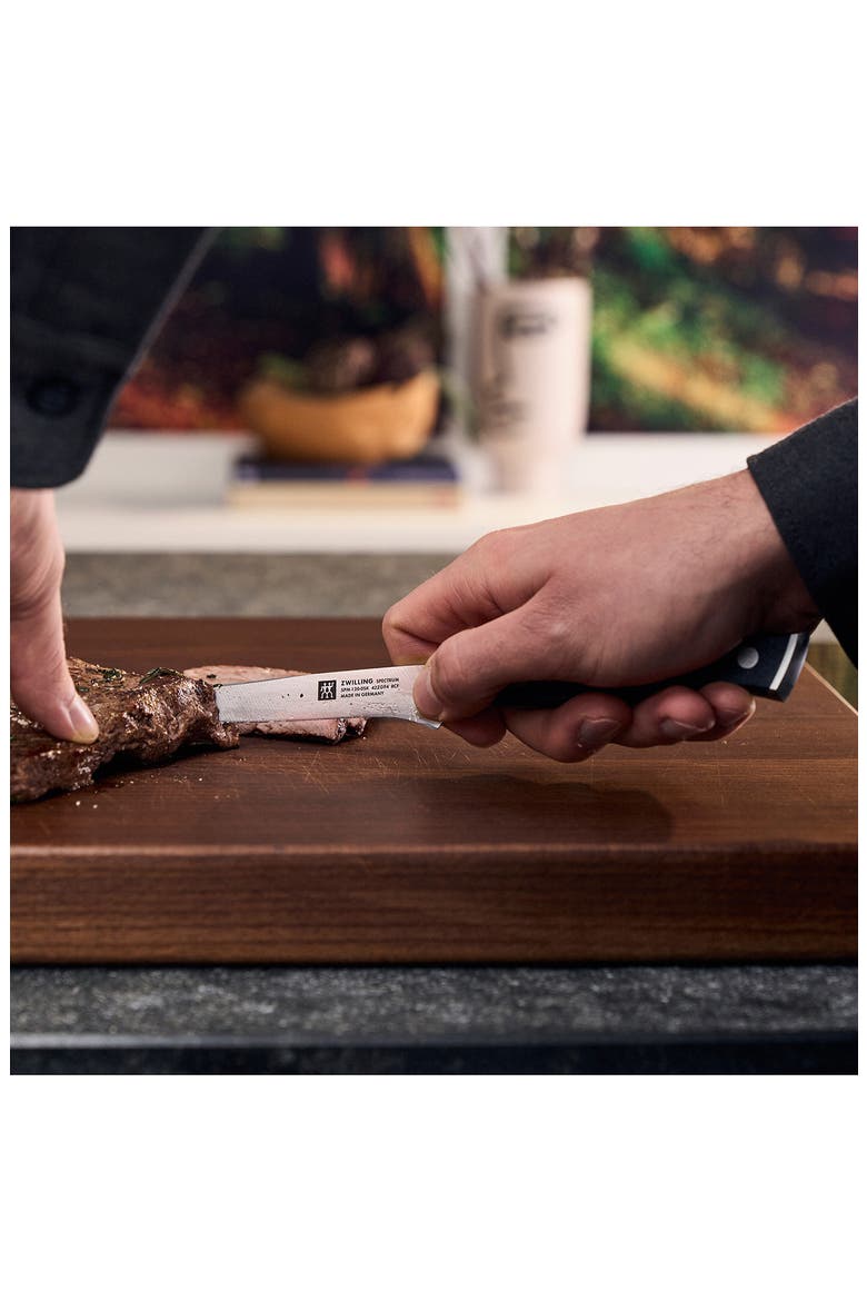 Spectrum 4-Piece Steak Knives, Alternate, color, BLACK
