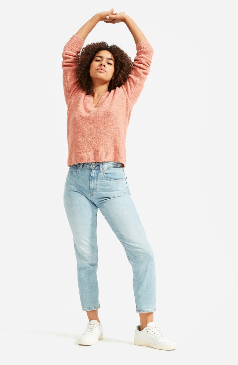 Everlane The Teddy Wool Blend V-Neck Sweater, Alternate, color, 