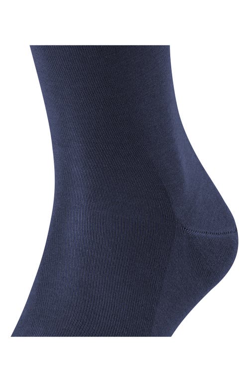 Shop Falke Tiago Knee High Socks In Dark Navy