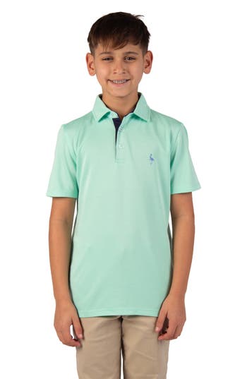 Tailorbyrd Kids' Solid Knit Polo In Green