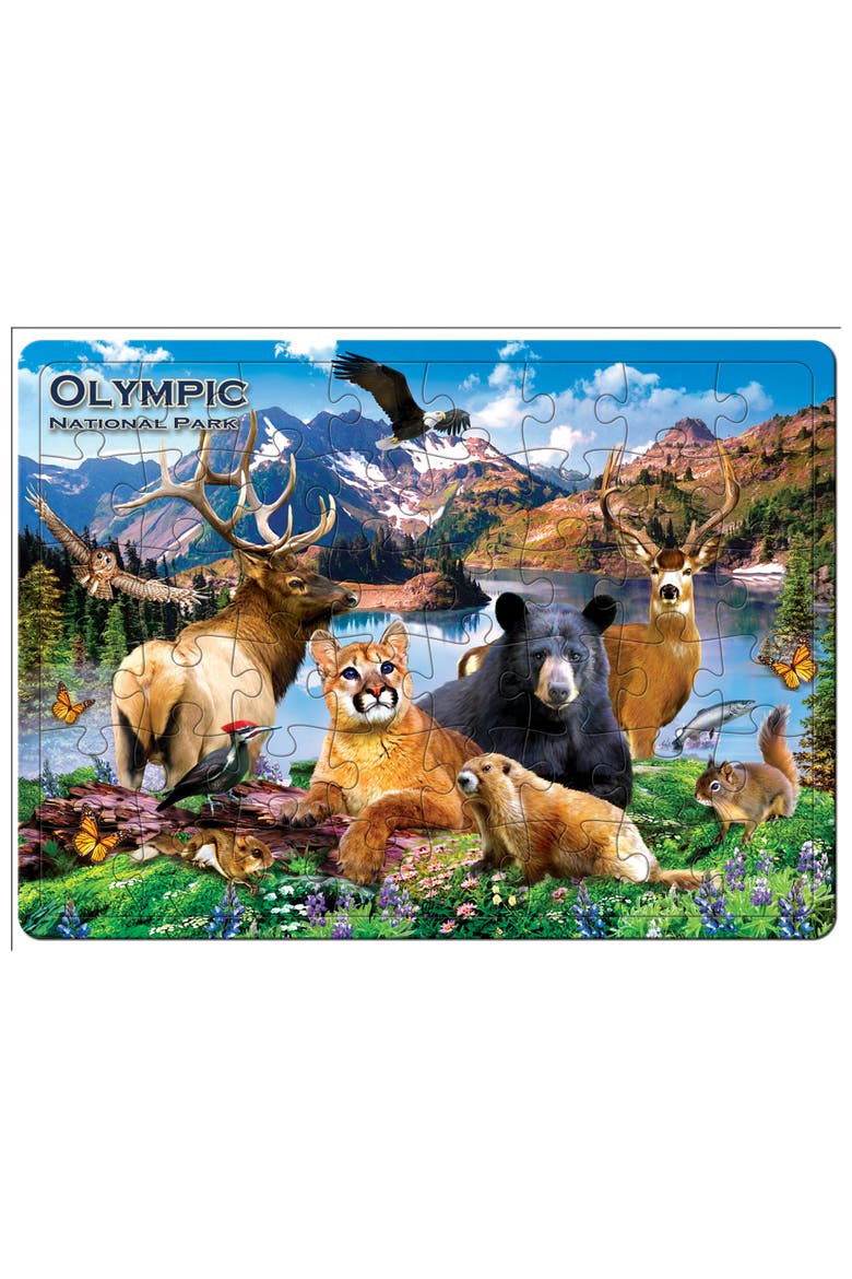 Olympic National Park 48pc Tray Puzzle, Alternate, color, Multicolor