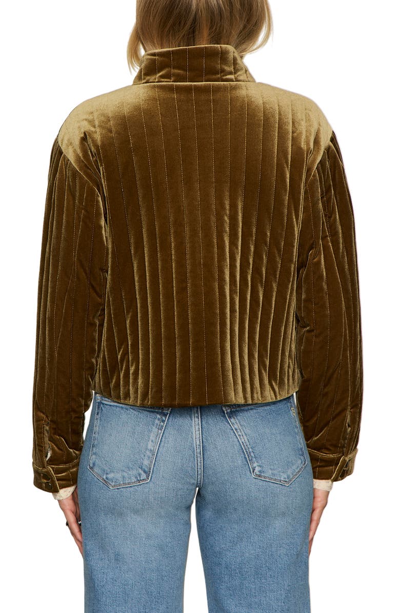 Sanctuary Victoria Velvet Jacket, Alternate, color, Dirty Martini Green