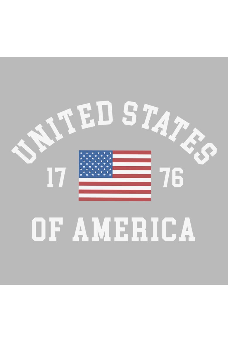 Men's Lost Gods United States of America 1776 Flag  Graphic T-Shirt, Alternate, color, Sport Grey