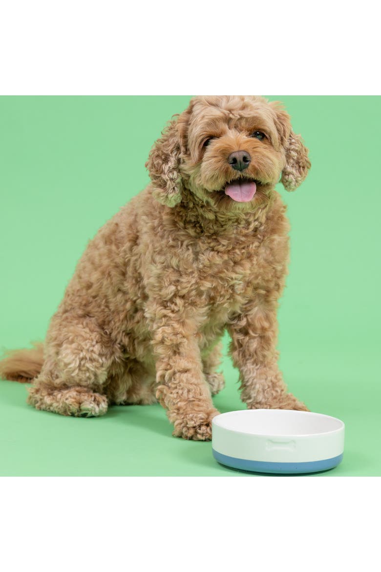 Speckle Dip Dog Bowl, 5.9 Inch, 15.2 ounces, Food & Water Dish, Alternate, color, Multicolored