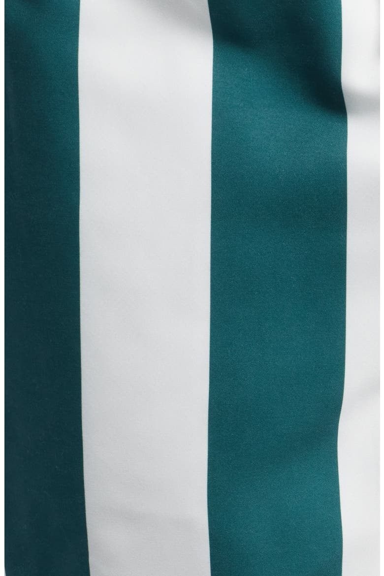 Playa Stripe Swim Trunks, Alternate, color, GREEN/ WHITE