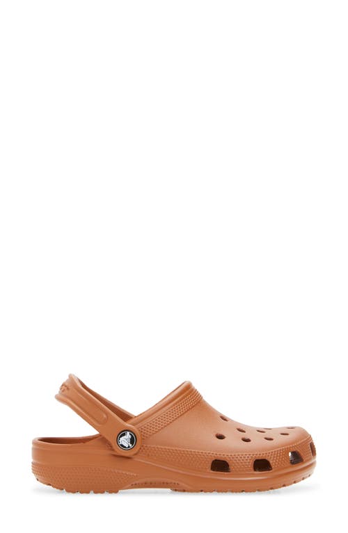 Crocs Classic Clog In Brown
