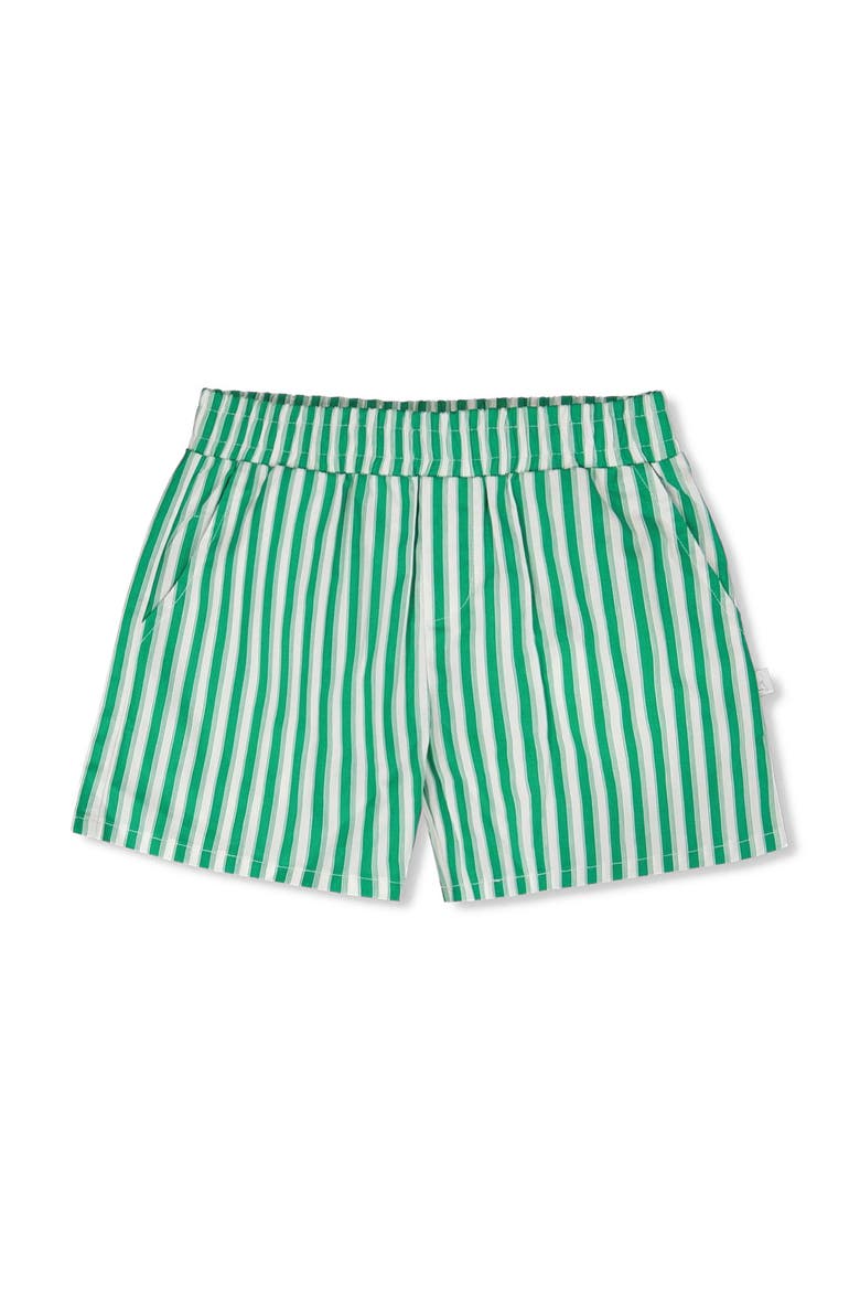 Elastic Waist Slant Pockets Striped Shorts, Main, color, Green Stripes
