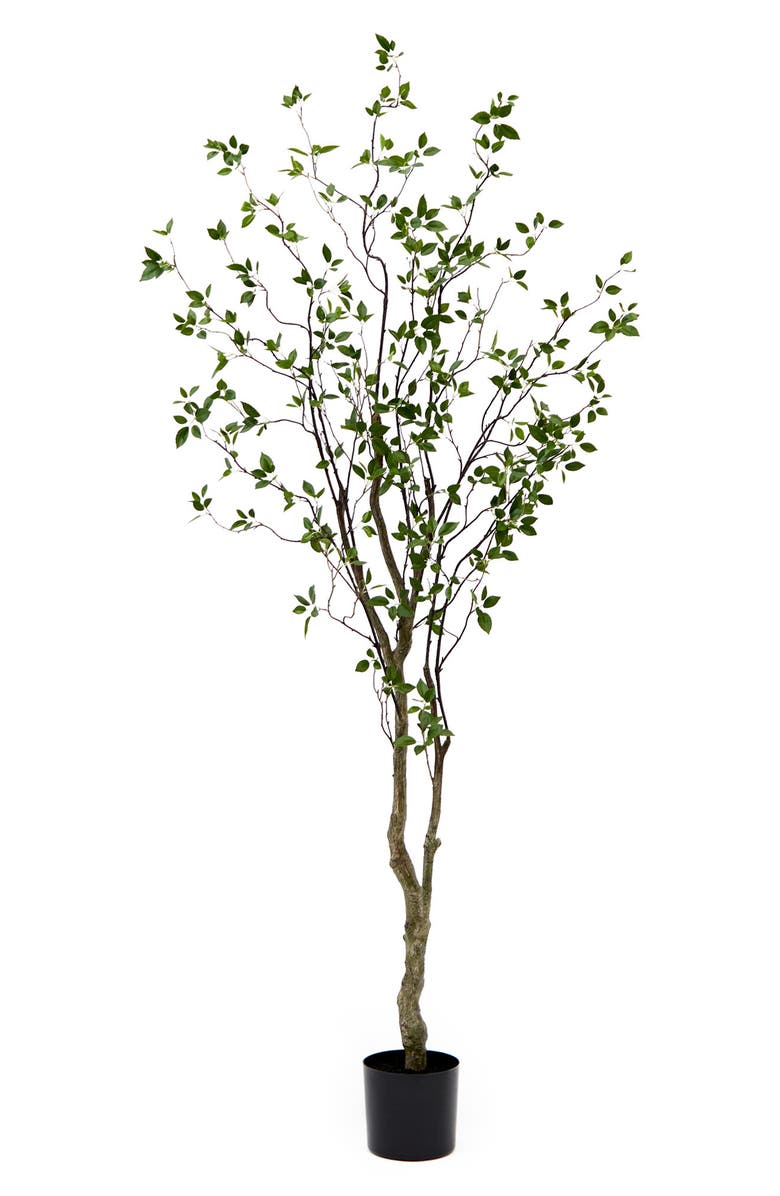NEARLY NATURAL 8 ft. Minimalist Citrus Tree Artificial Plant, Main, color, 