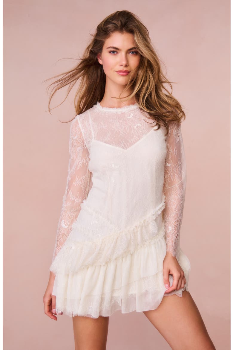 amberleigh lace mini dress Amberleigh Lace Mini Dress