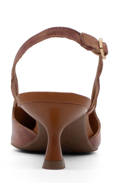 Bottero Botolivia Legacy Pointed Toe Slingback Pump