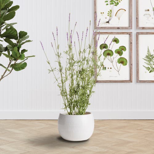 Napa Home & Garden Kayla Pot Small In White