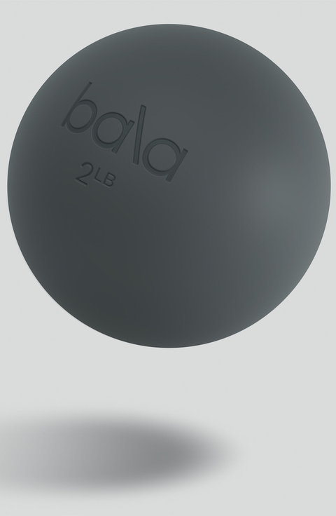 The Power Ball Weighted Fitness Ball