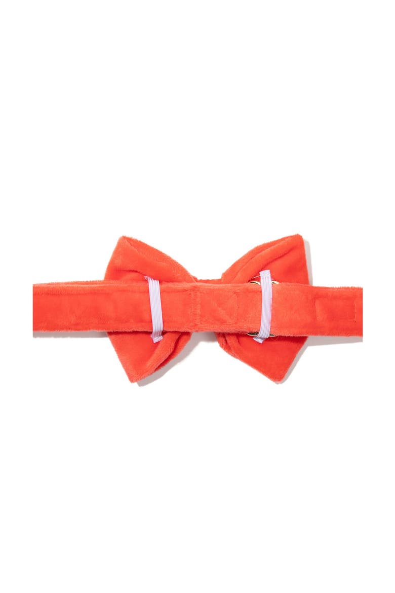 Suki Bow Tie, Alternate, color, Suki