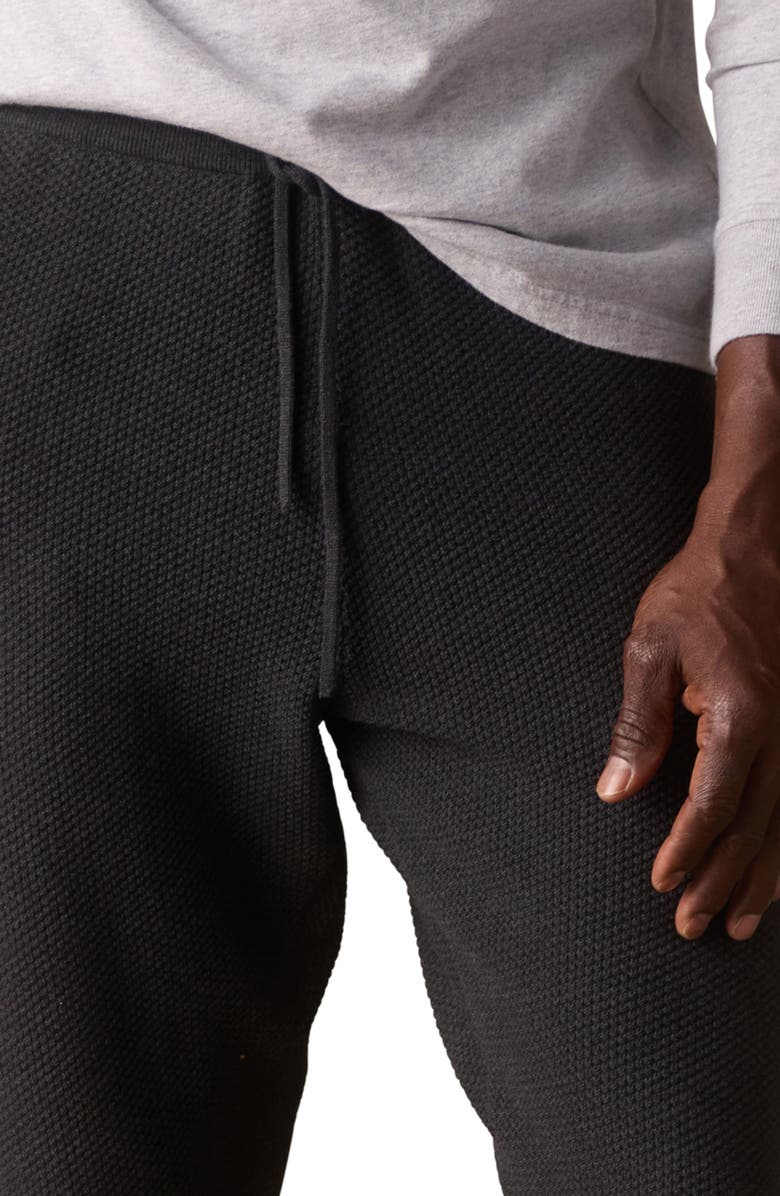 The Normal Brand Textured Cotton Blend Joggers, Alternate, color, 