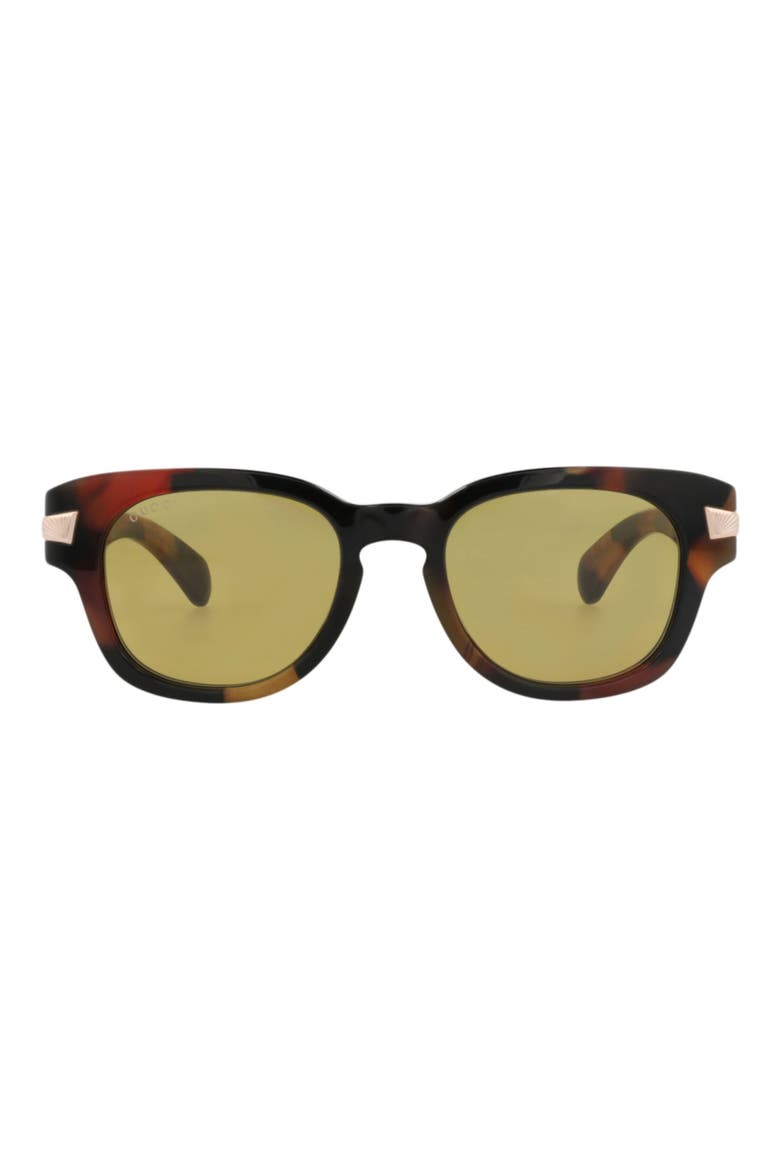 Novelty Sunglasses, Main, color, HAVANA HAVANA BROWN