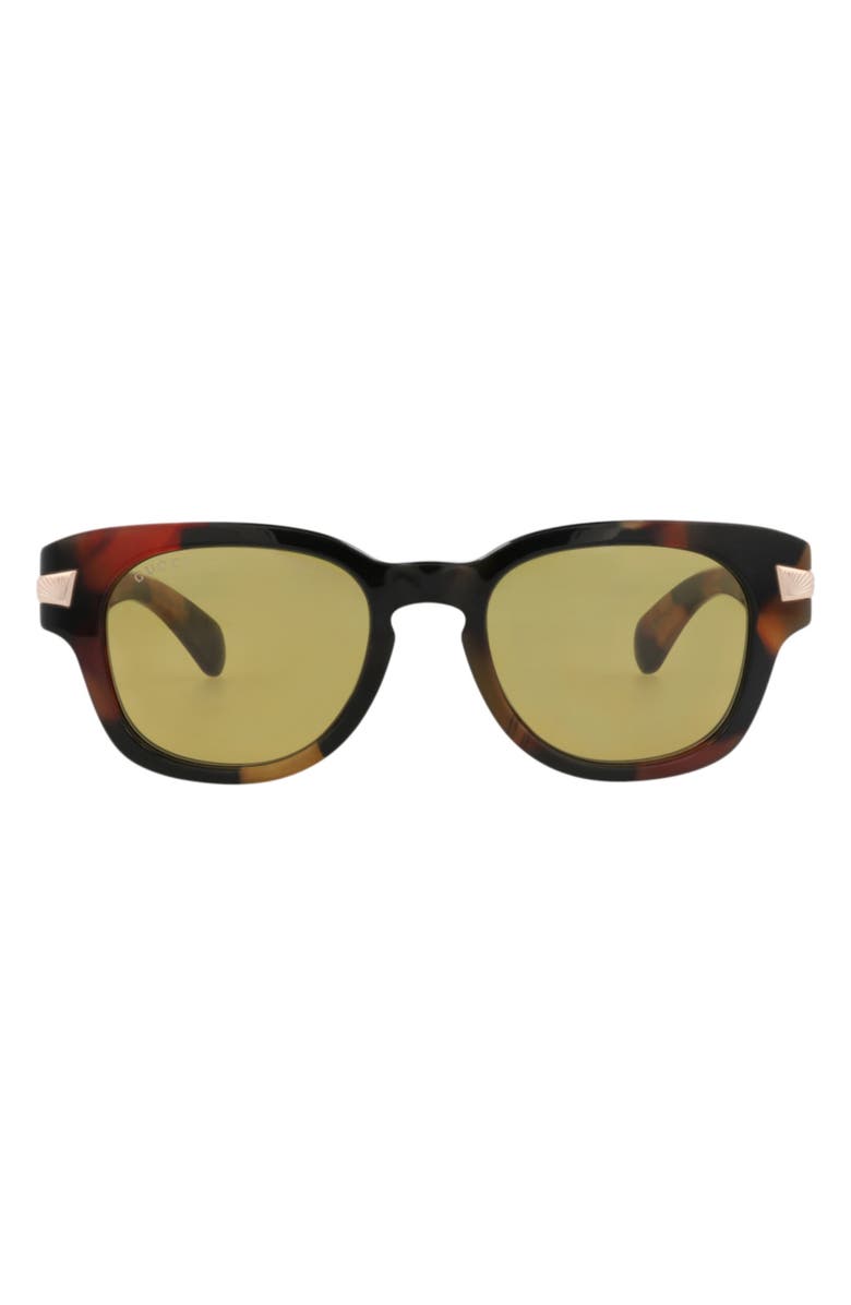 Gucci Novelty Sunglasses, Main, color, Havana Havana Brown