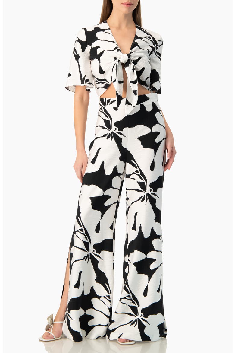 Bold Floral Print Tie-Front Wide-Sleeve Crop Top, Alternate, color, Black