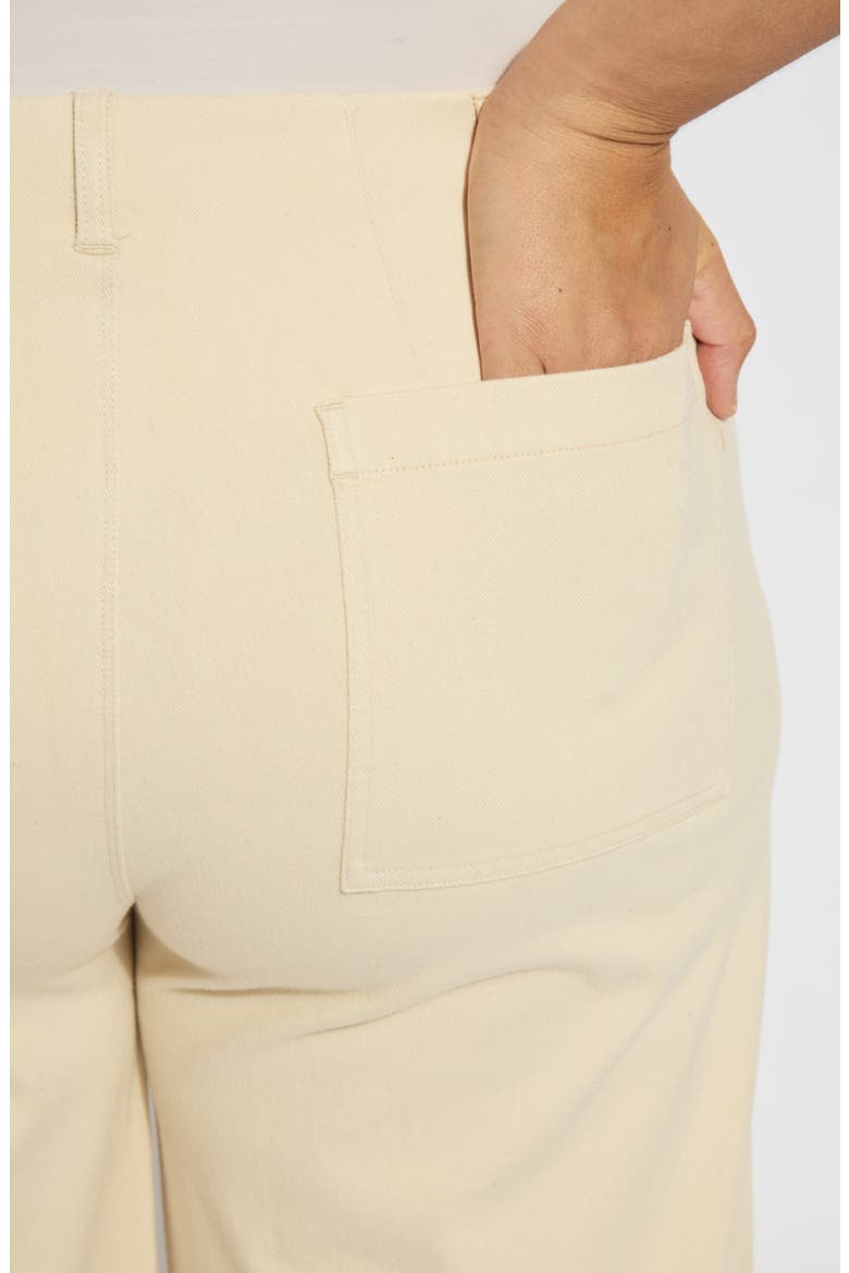 Nova Pintuck Pull-On Wide Leg Pants, Alternate, color, COCO CLAY