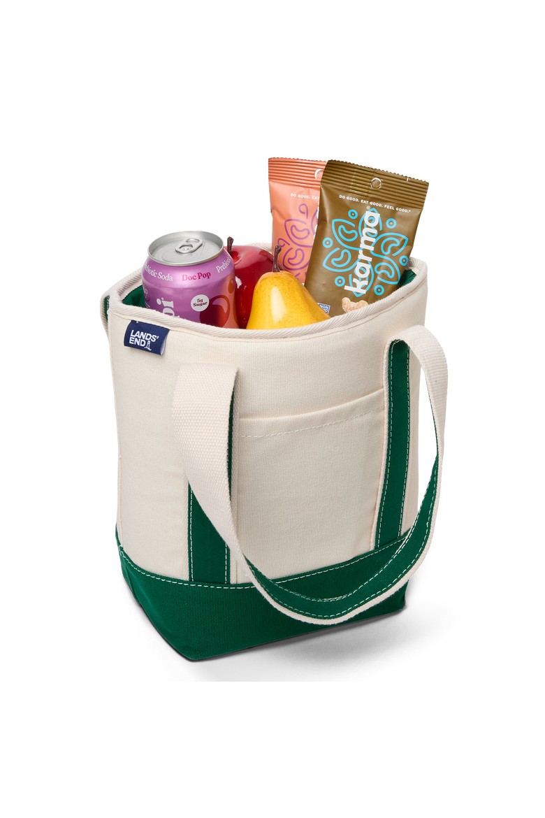 Small Insulated Tote Bag with Zip Closure, Travel Cooler Bag for the Pool, Park, and Day Trips, Alternate, color, Kelly Green