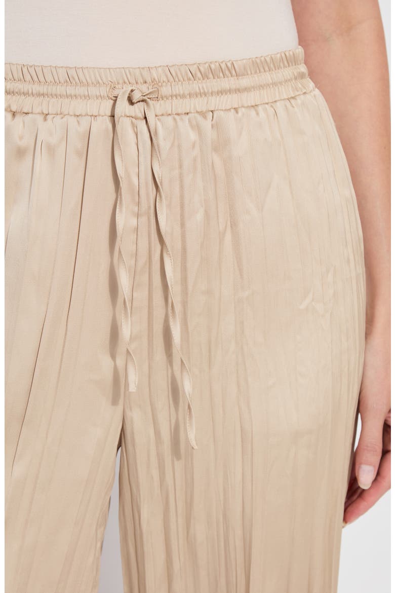 Packable Pleated Palazzo Pants, Alternate, color, CHABLIS