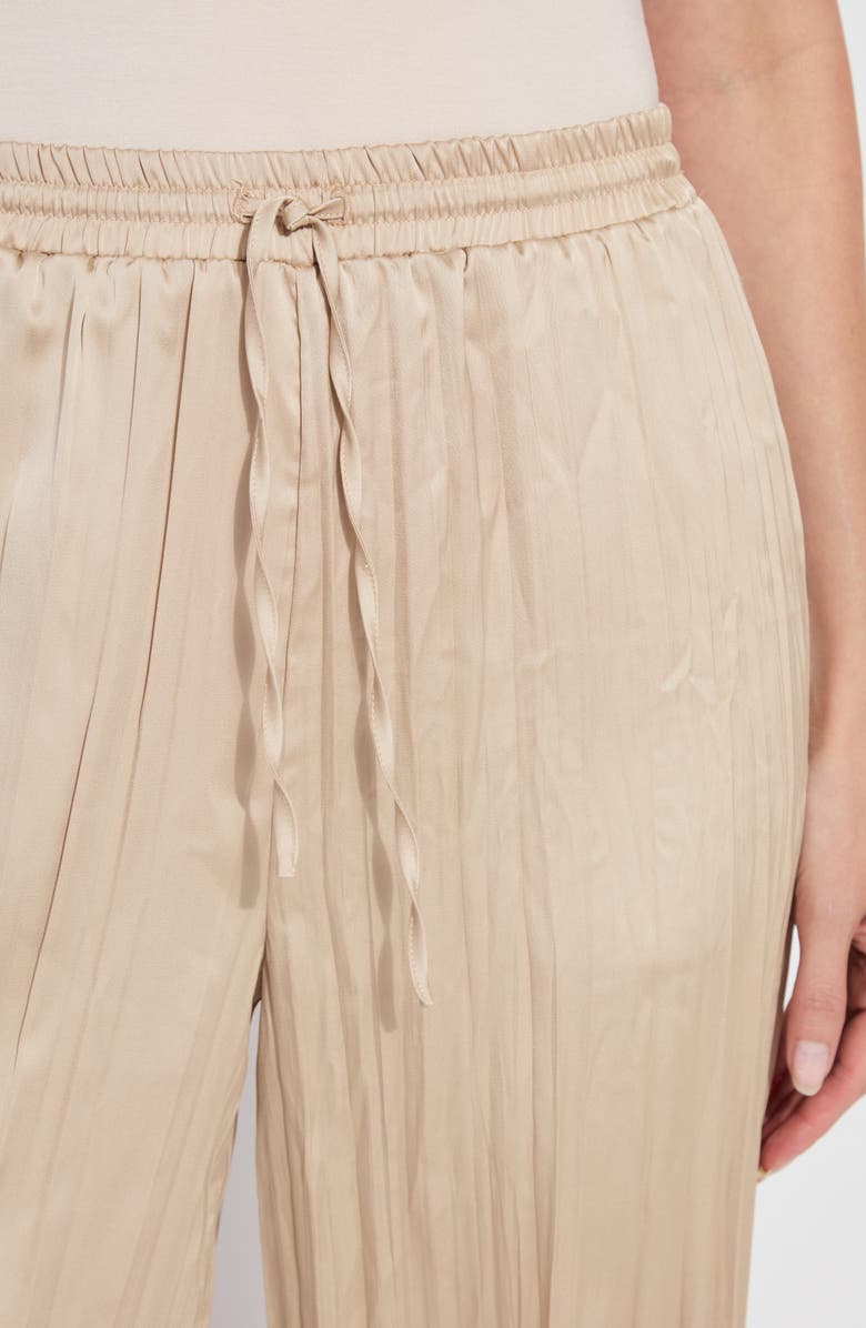 Lysse Packable Pleated Palazzo Pants, Alternate, color, 