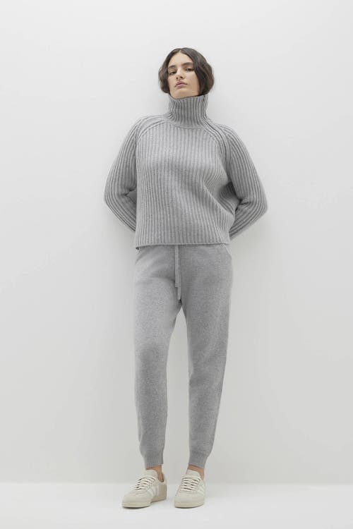 Naked Cashmere Aryana Cashmere Turtleneck