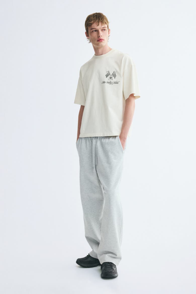 Oversized Boxy Printed Cotton T-Shirt, Alternate, color, White/Alta Valley Idaho