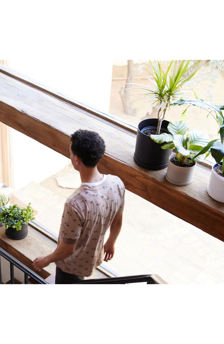 Bloem 10 Inch Mathers Round Planter With Saucer Tray, Black, Alternate, color, Black