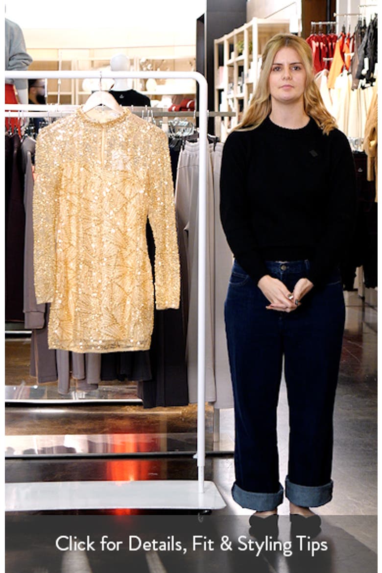 Sequin Beaded Mesh Long Sleeve Minidress video