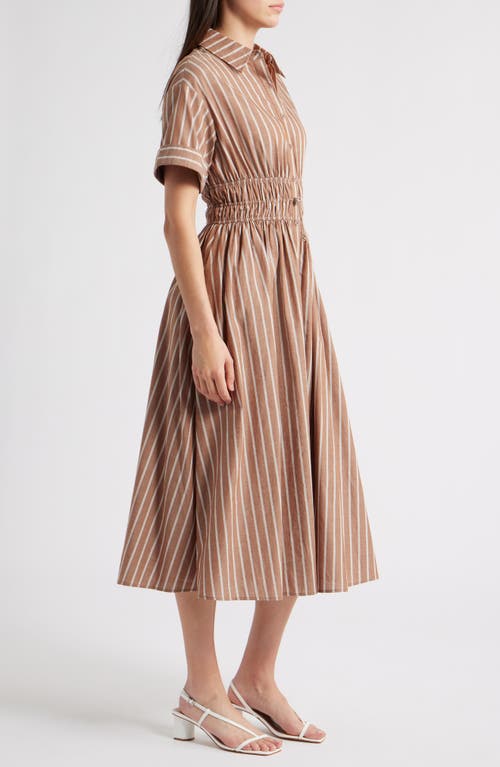 En Saison Stripe Cotton Midi Shirtdress In Brown