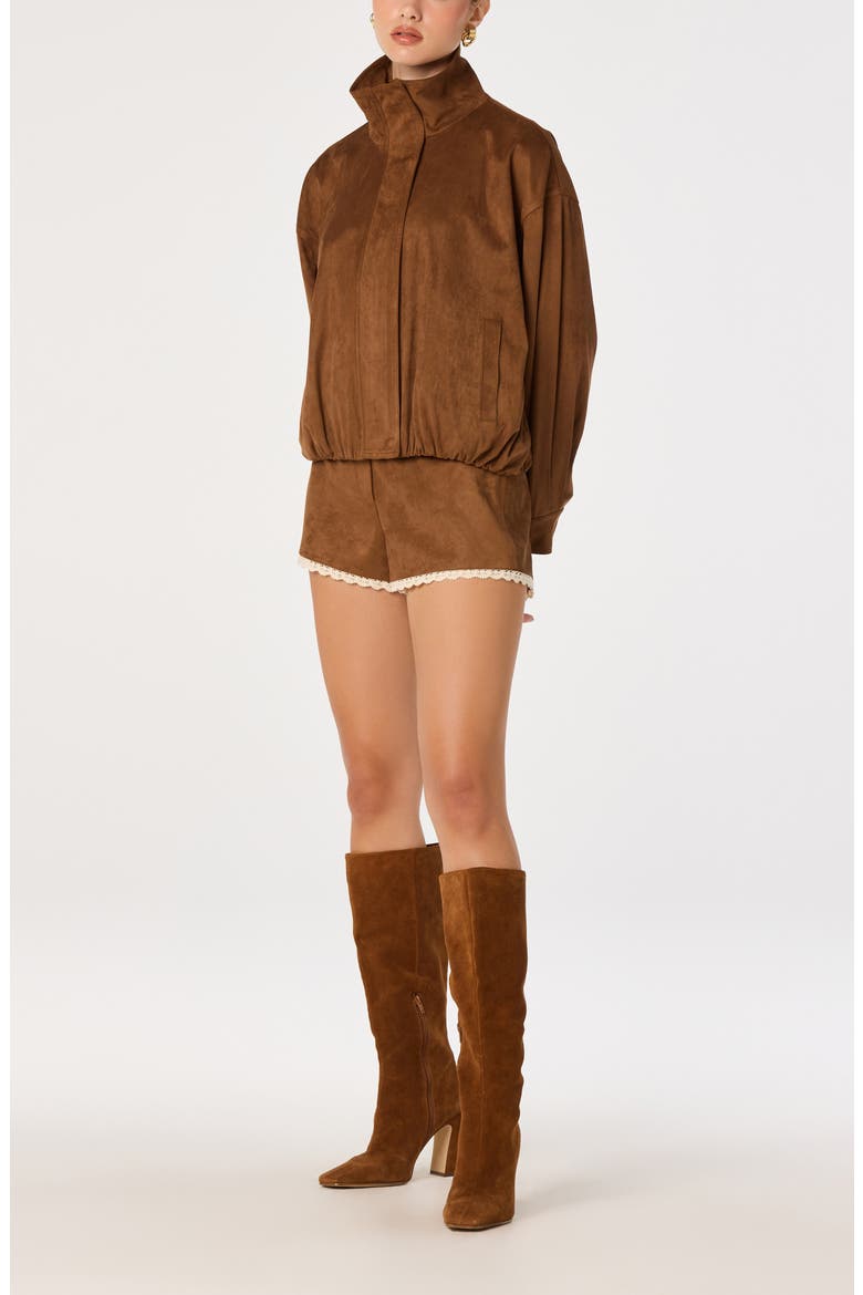 Cooper Faux Suede Jacket, Alternate, color, CHESTNUT