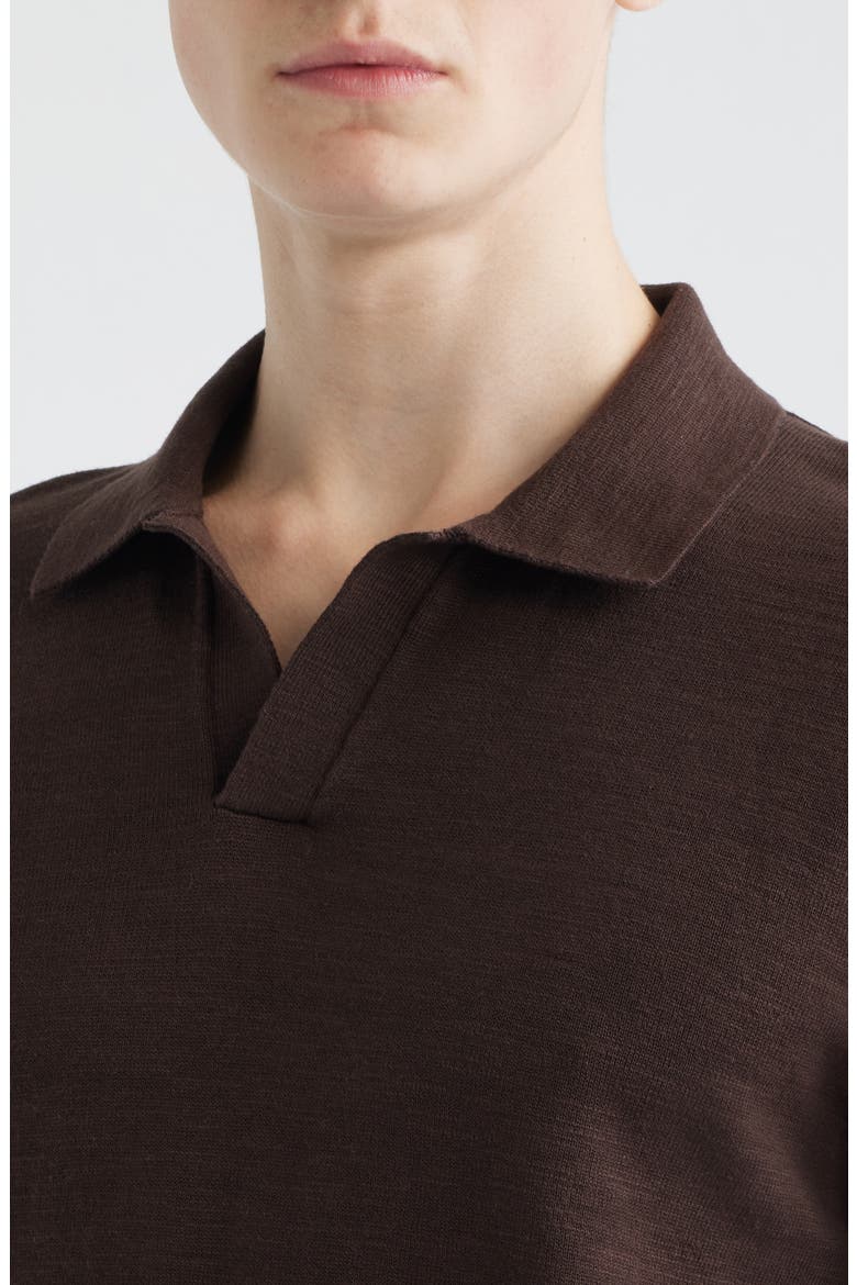 Johnny-Collar Cotton Slub Sweater Polo, Alternate, color, COFFEE BEAN