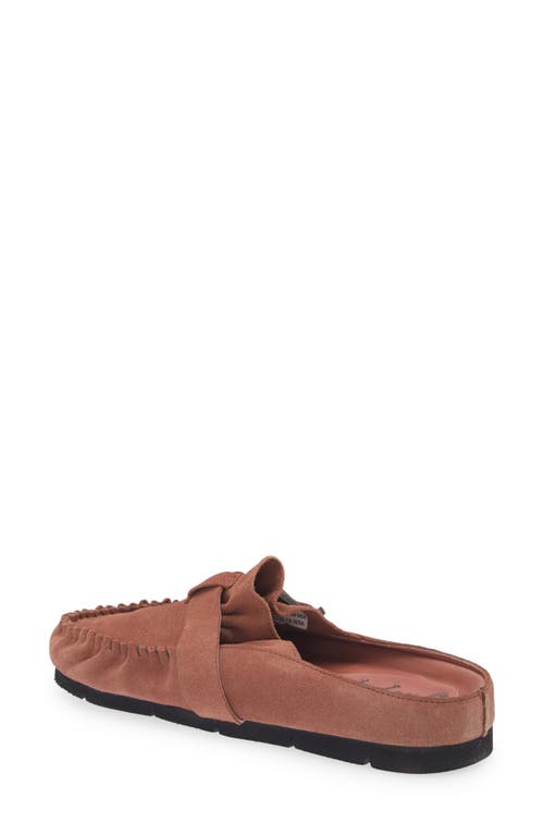 Free People After Riding Mule