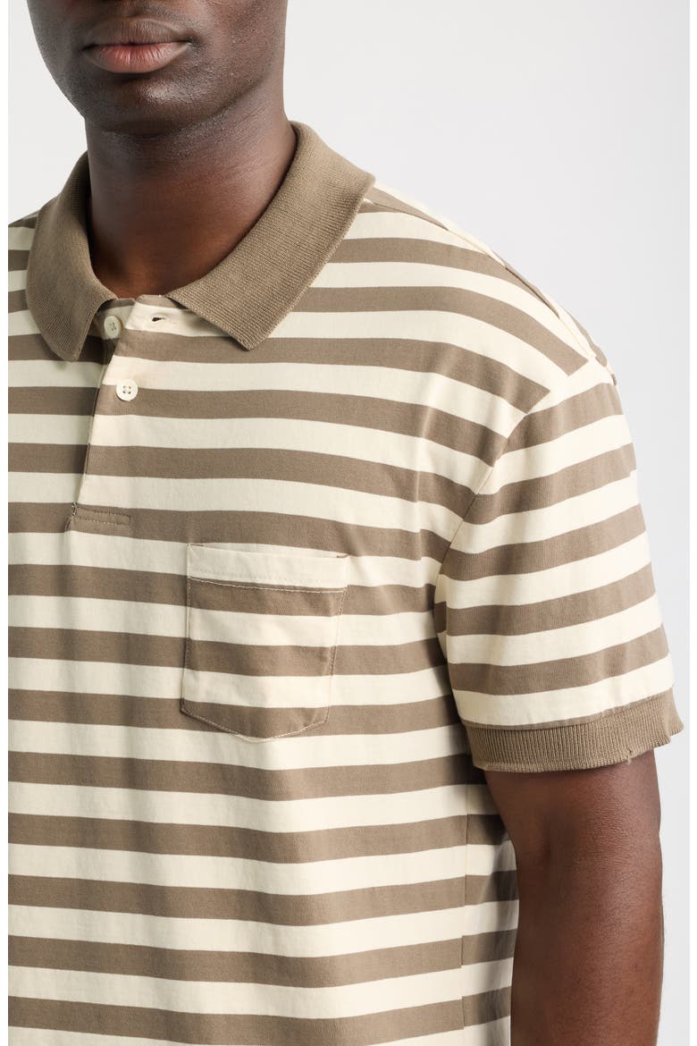 Stripe Distressed Crop Cotton Polo, Alternate, color, BROWN STRIPE