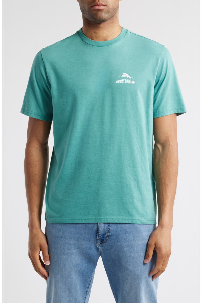 Dock It To Me Graphic T-Shirt, Main, color, BRISTOL BLUE HEATHER