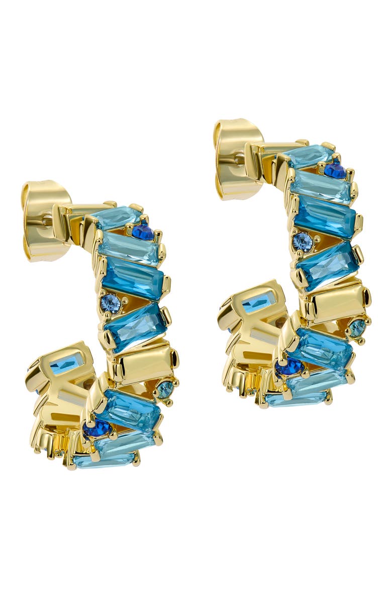Clarence Crystal Cluster Hoop Earrings video
