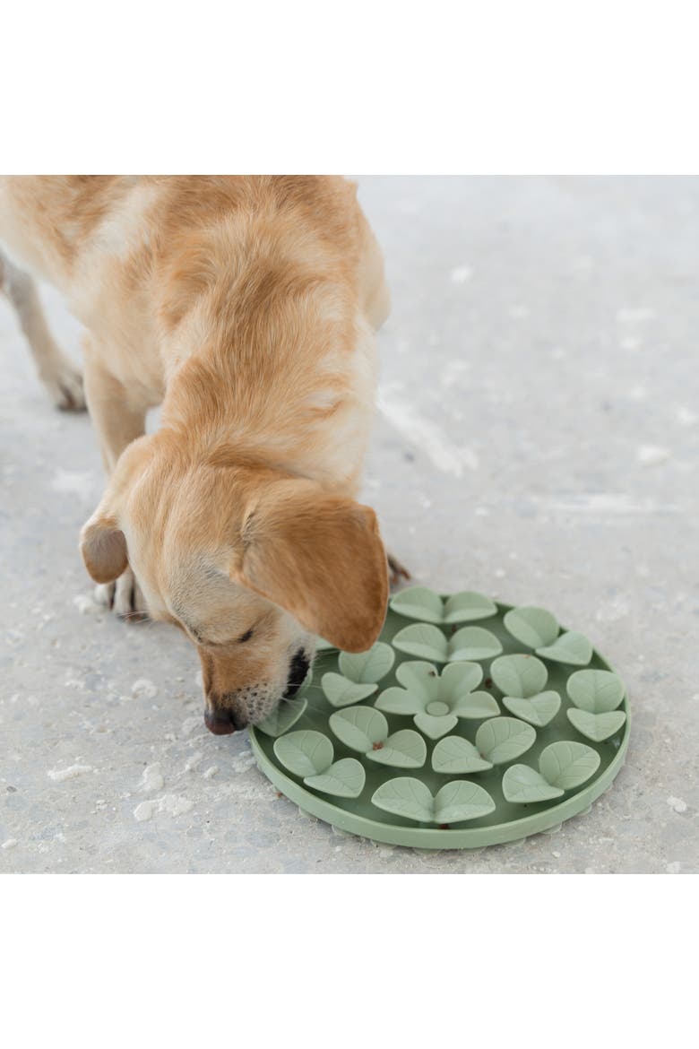 Textured Dog Feeding Pad, Alternate, color, Green