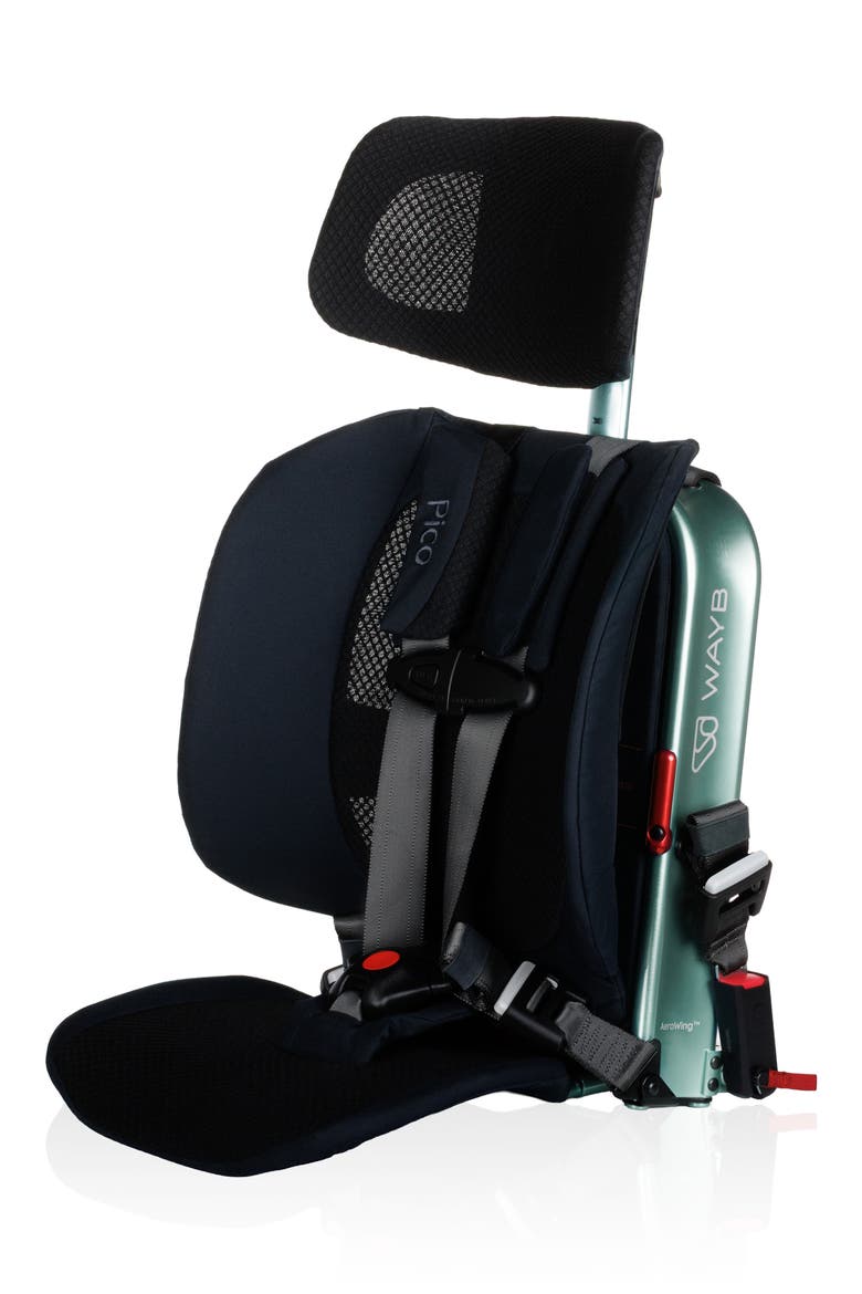 Pico Forward Facing Car Seat, Alternate, color, JUNIPER