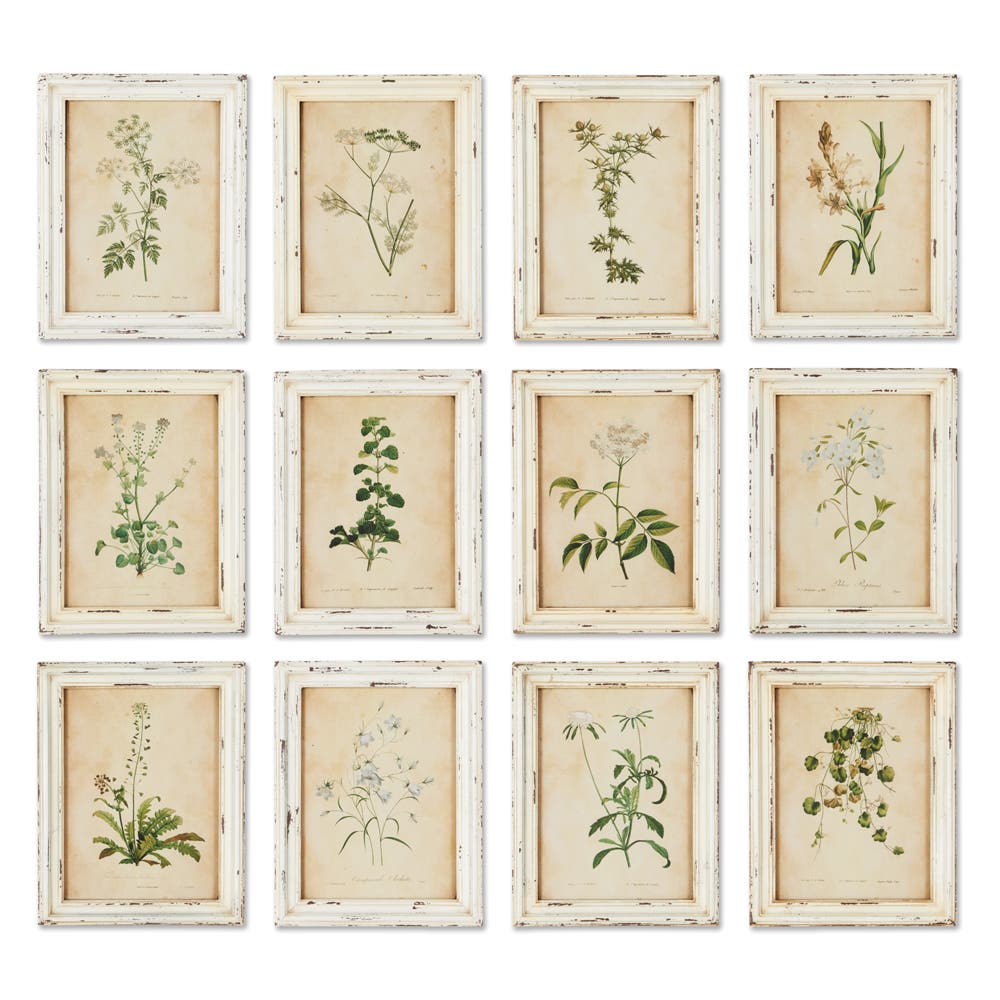 selected Beige
