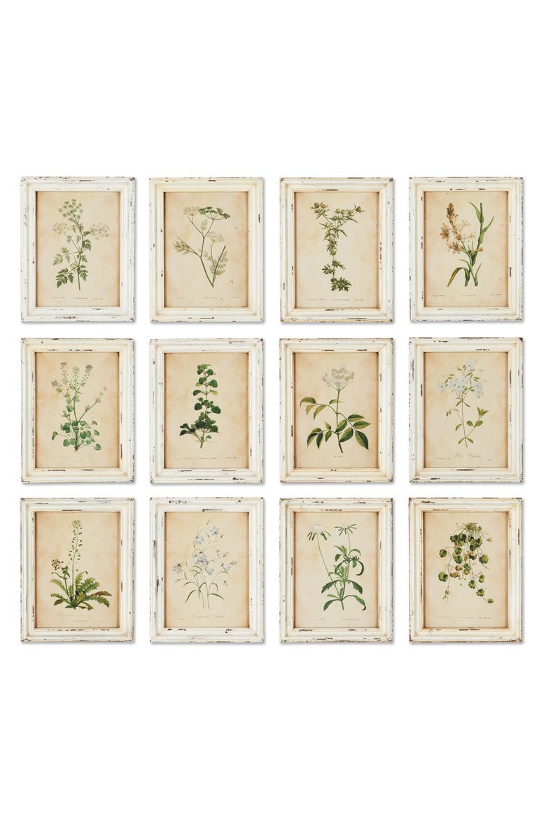 Framed Wild Flower Botanical Prints Set of 12, Main, color, Beige