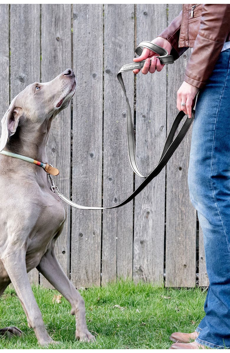 Puppington Reflective Leash, Alternate, color, Charcoal Gray