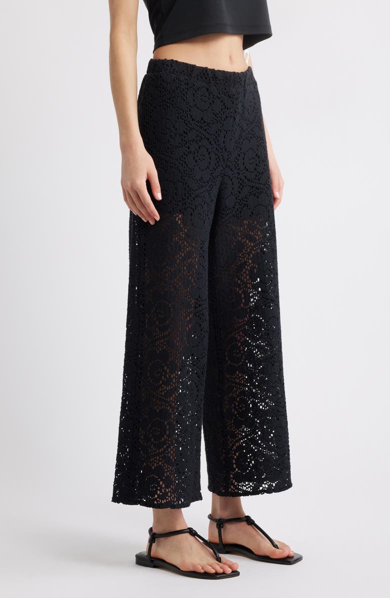 Nation LTD Linney Semisheer Lace Ankle Pants, Alternate, color, Jet Black