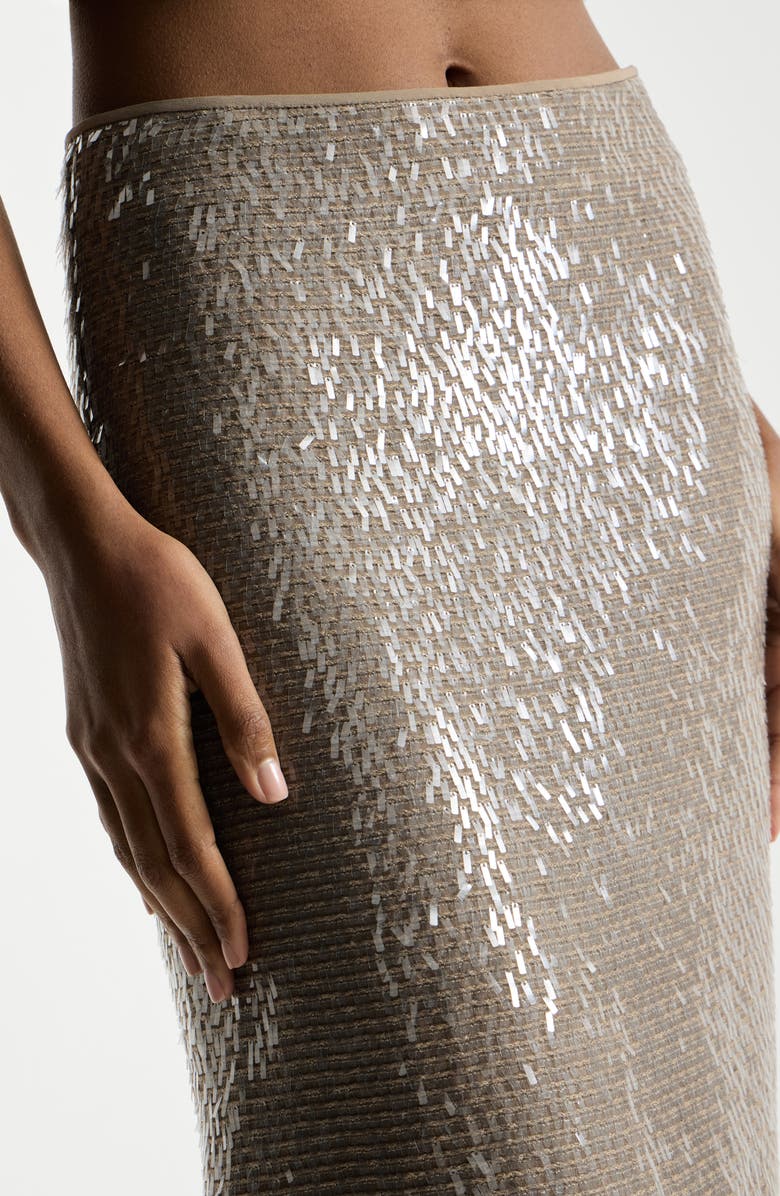 Brunello Cucinelli Dazzling Embroidery skirt, Alternate, color, Rope
