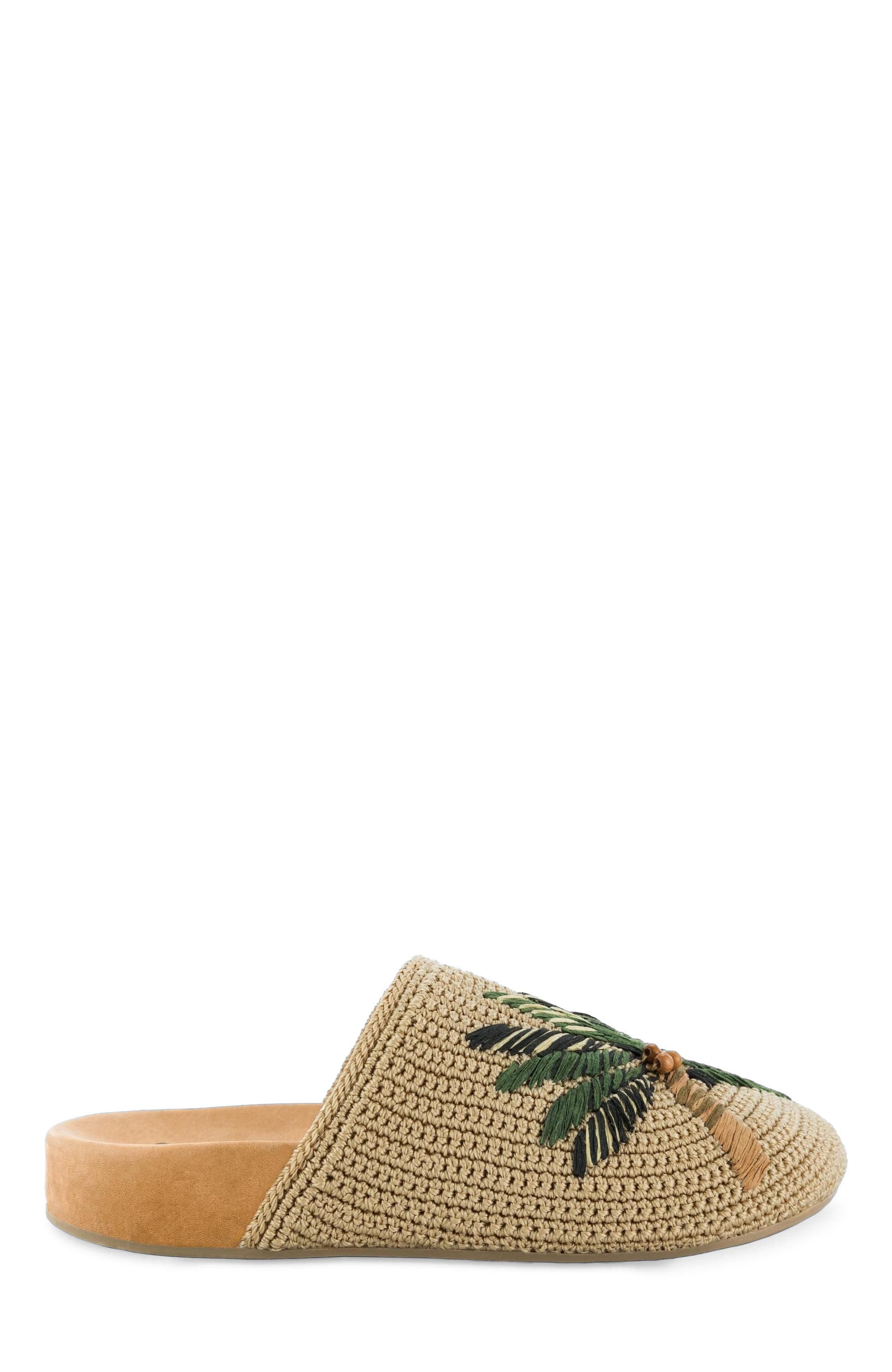  Palm Tree
