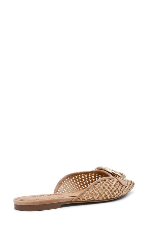 Steve Madden Ira Pointed Toe Mule