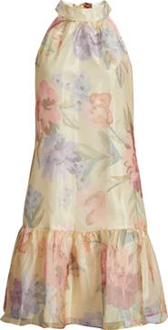 Vince Camuto Sleeveless Ruffle Hem Organza Dress