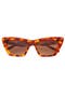 selected Brown Tortoise