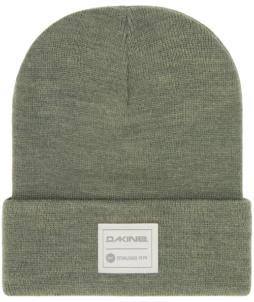 Dakine Cutter Beanie Snow Beanie In Green