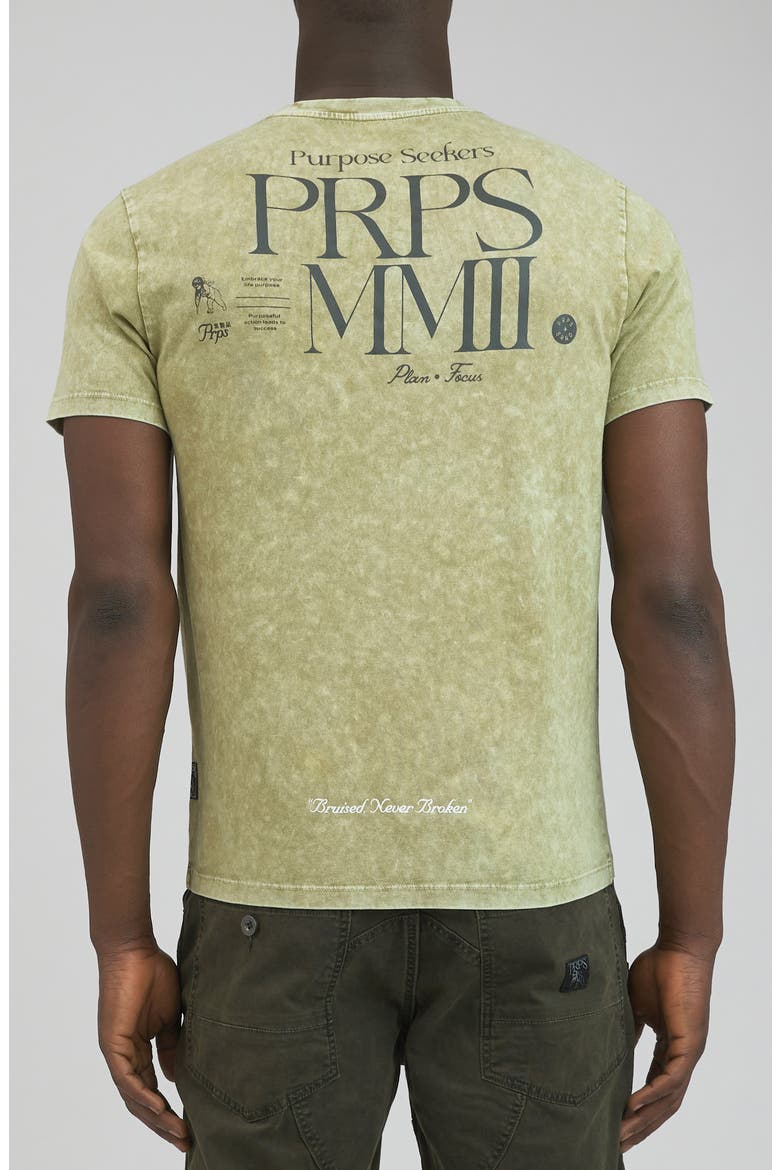 Fire Valley Graphic T-Shirt, Alternate, color, CEMENT